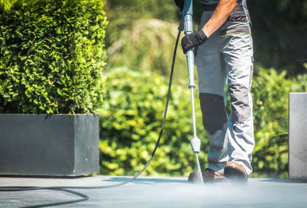Best Sidewalk and Walkway Cleaning  in Henry, IL